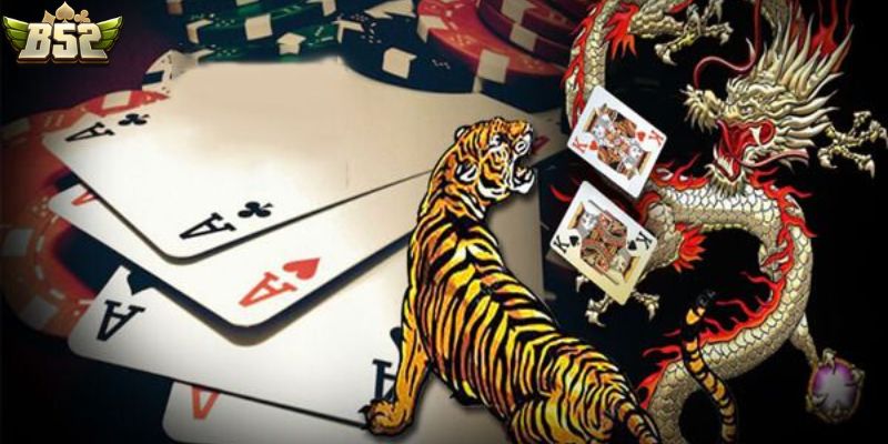 Kinh nghiệm đặt cược rồng hổ nhận thưởng khủng từ cao thủ